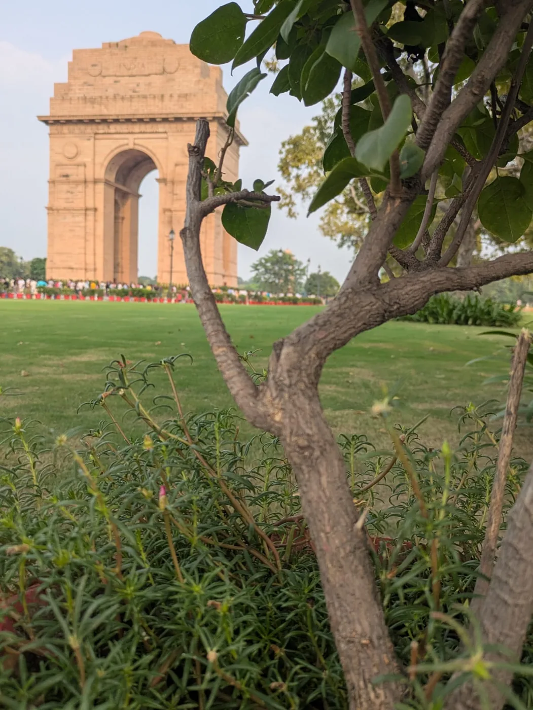 Delhi Airport Layover Guide